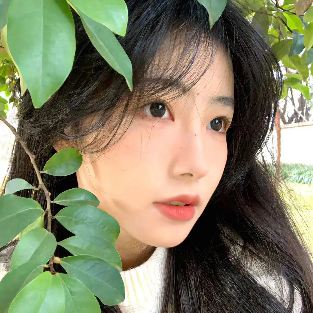 反诈风暴之情爱迷局